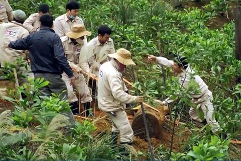 MAG staff conduct bomb and mine clearance activities in Quang Binh (Photo: VNA)