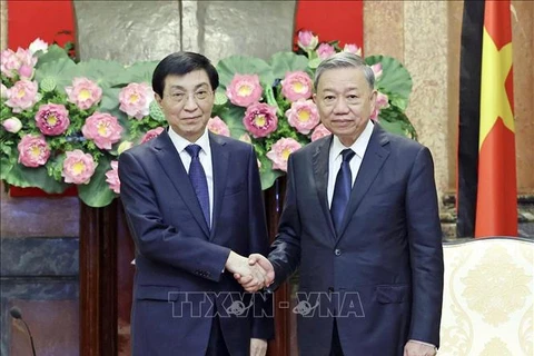 President To Lam (R) and Chairman of the National Committee of the Chinese People's Political Consultative Conference Wang Huning (Photo: VNA)