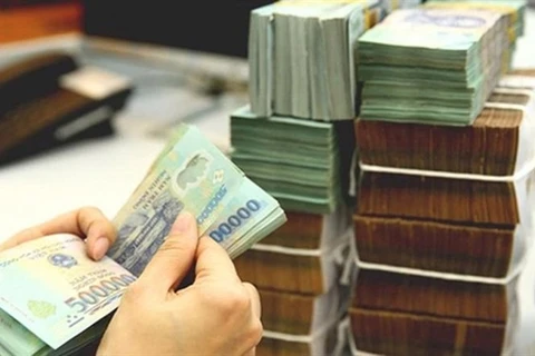 A teller counts money at a credit institution's branch. (Photo: tienphong.vn)