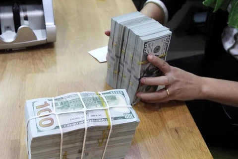 The State Bank of Vietnam sets the daily reference exchange rate at 24,252 VND/USD on July 29. (Photo: VNA)