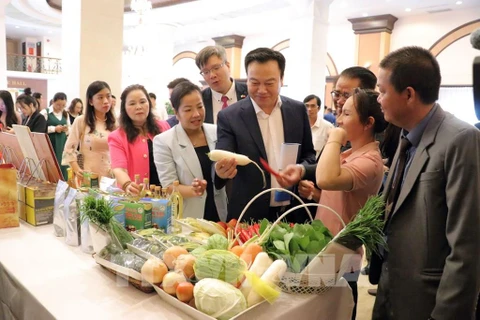 Enterprises in the Central Highlands provinces of Vietnam introduce their products to partners from the Republic of Korea (Photo: VNA)