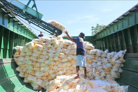 Workers package rice for export at Thoai Son Food Co.Ltd, a member of Loc Troi Group Joint Stock Company. (Photo: VNA)