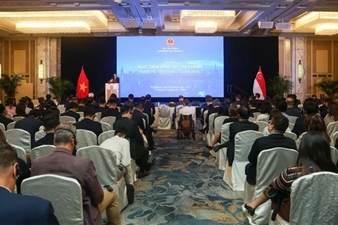 An overview of the conference (Photo: VNA)