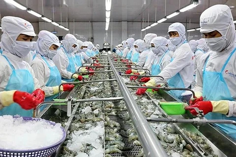 Vietnam ships nearly 2 billion USD worth of shrimp aboard during January-July. (Photo: nhandan.vn)