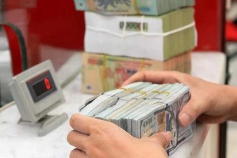 The daily reference exchange rate for the US dollar is set at 24,260 VND/USD on August 9. (Photo: VNA)