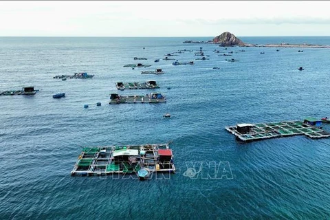 Cage fish farming in Ninh Hai district, Ninh Thuan province. (Photo: VNA)