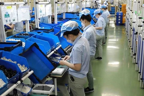 Producing household appliances at a factory of Panasonic Life Solutions Vietnam Co. Ltd in Vietnam-Singapore Industrial Park (VSIP) in Tan Uyen township, Binh Duong province. (Photo: VNA)