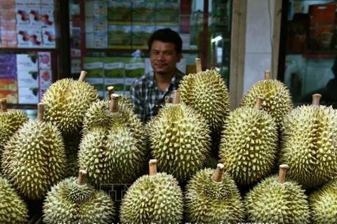 Thai durians on sale in Bangkok (Photo: AFP/VNA)