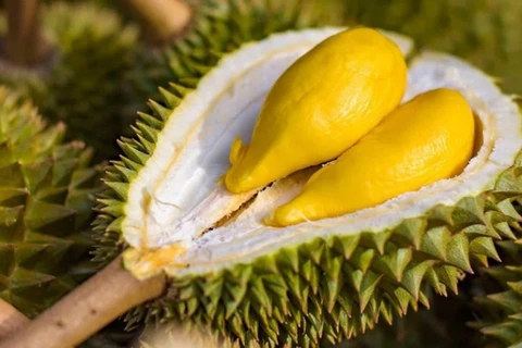 Second durian festival to honour growers, promote sustainable development