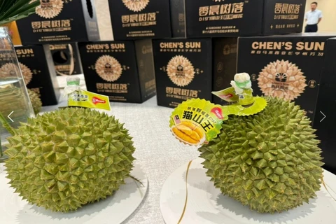 Durian emerges as new hope for Malaysia’s exports