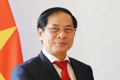 Vietnamese Deputy Prime Minister and Minister of Foreign Affairs Bui Thanh Son. (Photo: VNA)