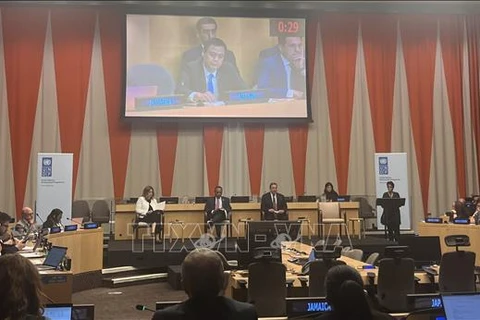 Ambassador Dang Hoang Giang, Permanent Representative of Vietnam to the UN, speaks at the UNDP Executive Board's dialogue with member states on actions to accelerate the adoption of sustainable energy for development, held in New York on August 27. (Photo: VNA)