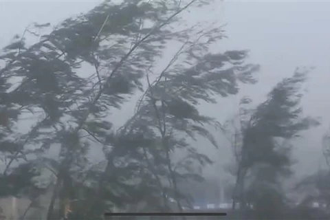 Strong winds and rains recorded in the Bach Long Vi area on September 7 morning. (Photo: VNA)