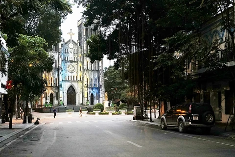 The historic St Joseph's Cathedral and neighbouring French-styled houses frame a scene where lush foliage and tree roots weave a romantic tapestry. (Photo: mia.vn)