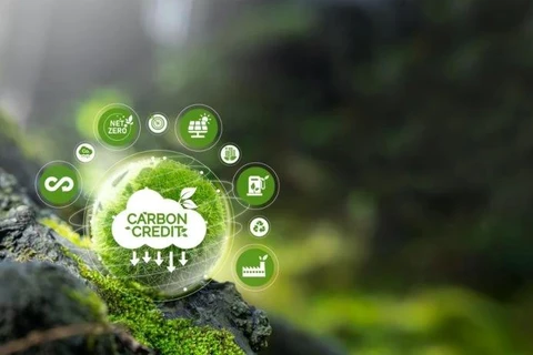 The establishment of a carbon credit market will help enterprises gain a competitive edge. (Photo: sustainablejapan.jp)