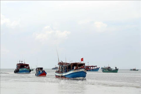 Ca Mau's fishing vessels (Photo: VNA)