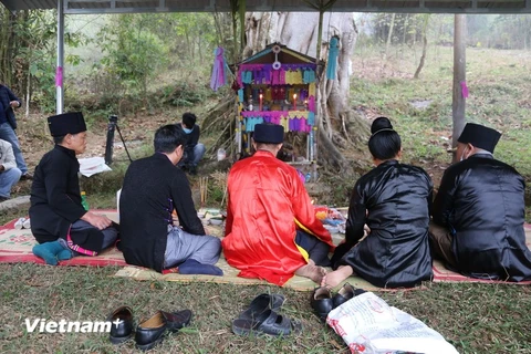 The Xen Dong Festival begins with a forest worship ceremony, held beneath the canopy of a centuries-old banyan tree (Photo: VietnamPlus)