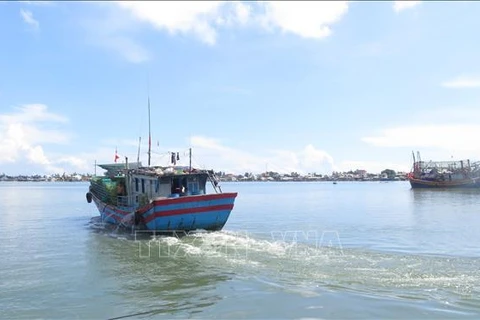 Thua Thien - Hue province is ordered to tighten control over its offshore fishing vessels. (Photo; VNA)