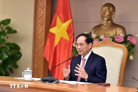 Deputy Prime Minister and Foreign Minister Bui Thanh Son (Photo: VNA)