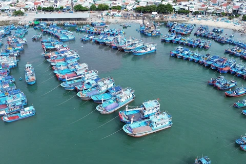 Fishing boats anchor at My Tan Port in Ninh Thuan province. (Photo: VNA)