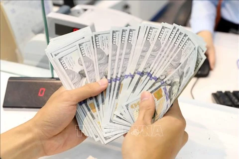 The daily reference exchange rate for the US dollar is set at 24,081 VND/USD on October 1. (Photo: VNA)