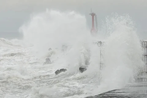 Waves crash onto a sea wall in Kaohsiung (Taiwan) as Typhoon Krathon approaches. (Photo: Reuters)