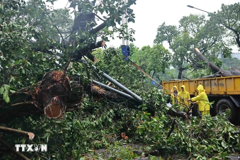 Authorities clear up Dinh Tien Hoang street, Hoan Kiem district, in the heart of Hanoi. (Photo: VNA)