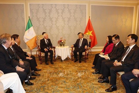 Party General Secretary and State President To Lam (R) receives Honourary Consul of Vietnam in Ireland Patrick McKillen (Photo: VNA)