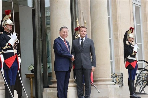 French President Emmanuel Macron (R) welcomes Vietnamese Party General Secretary and State President To Lam (Photo: VNA)