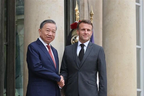 Party General Secretary and State President To Lam (L) and French President Emmanuel Macron (Photo: VNA)