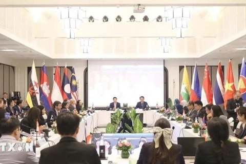 An overview of the 19th Meeting of the Working Group on the ASEAN Forum on Taxation in Luang Prabang province of Laos. (Photo: VNA)