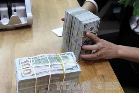 The State Bank of Vietnam set the daily reference exchange rate for the US dollar at 24,240 VND/USD on October 22, up 12 VND from the previous day. (Photo: VNA)