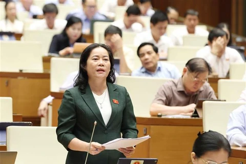 A legislator speaks at the NA meeting on October 22. (Photo: VNA)