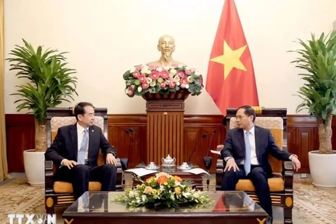 Deputy Prime Minister and Minister of Foreign Affairs Bui Thanh Son (R) receives Chinese Ambassador to Vietnam He Wei in Hanoi on October 22. (Photo: VNA)