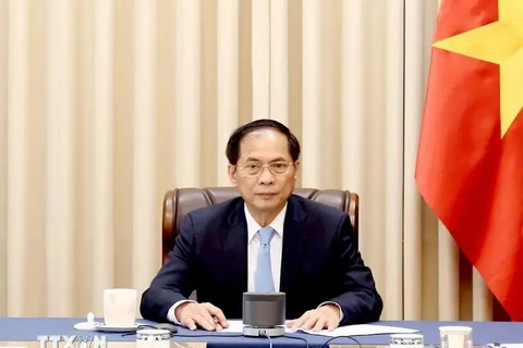 Deputy Prime Minister and Minister of Foreign Affairs Bui Thanh Son at the phone talks with Japanese Foreign Minister Iwaya Takeshi on October 22 (Photo: VNA)