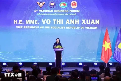 Vice State President of Vietnam Vo Thi Anh Xuan addresses the opening of the first Veterans Confederation of ASEAN Countries (VECONAC) Business Forum in Hanoi on October 25 (Photo: VNA)