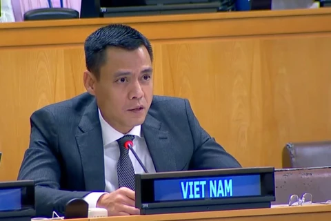 Ambassador Dang Hoang Giang, Permanent Representative of Vietnam to the UN. (Photo: VNA)