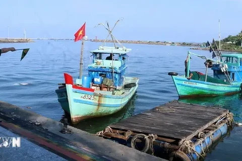 Fishing vessels are inspected when entering Duong Dong river estuary in Phu Quoc city, Kien Giang province. (Photo: VNA)