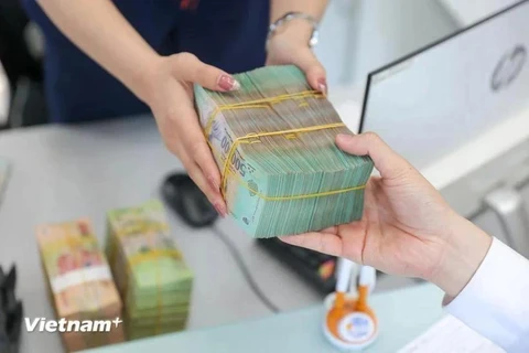 State Bank of Vietnam sets daily reference exchange rate for the US dollar at 24,252 VND/USD on October 29 (Photo: VNA)