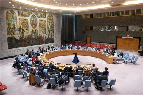 An overview of the UNSC's open debate (Photo: VNA)