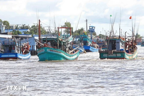 Ca Mau still has 274 “three Nos” vessels, of which 65 boats have been sold but their new owners have not registered to competent authorities. (Photo: VNA)