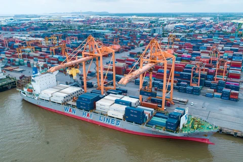 Cargo ships at Hai Phong Port (Photo: VNA)