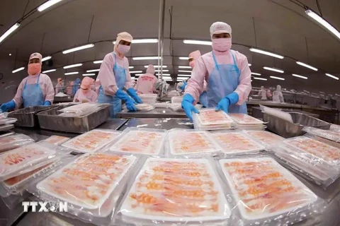 Workers process shrimp for export. (Photo: VNA)