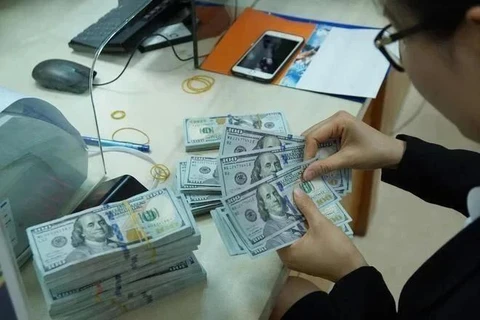 The State Bank of Vietnam sets daily reference exchange rate for the US dollar at 24,253 VND/USD on November 4. (Photo: VNA)