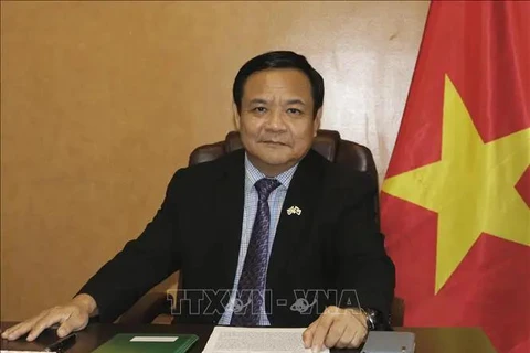 Vietnamese Ambassador to Peru Bui Van Nghi (Photo: VNA)