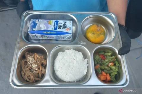 Food prepared during the Free Nutritious Meals programme trial in Magelang, Central Java, on October 26, 2024. (Photo: Antaranews)