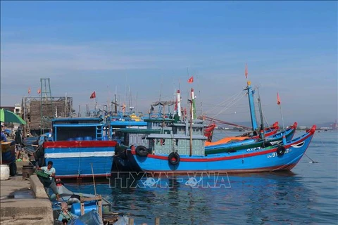 Tam Quang fishing port in Nui Thanh district of Quang Nam province. (Photo: VNA)