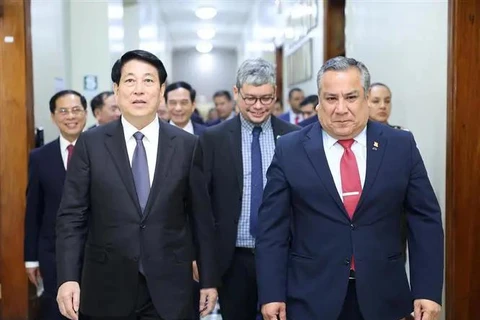 State President Luong Cuong (L) and President of the Council of Ministers of Peru Gustavo Adriazén. (Photo: VNA)