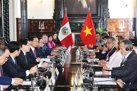 The talks between Vietnamese State President Luong Cuong and President of Peru Dina Ercilia Boluarte Zegarra. (Photo: VNA)