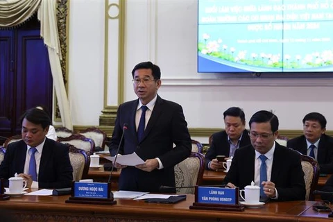 Vice Chairman of the Ho Chi Minh City People's Committee Duong Ngoc Hai addresses the meeting. (Photo: VNA)